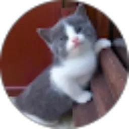 Review From Angga Adhiputra