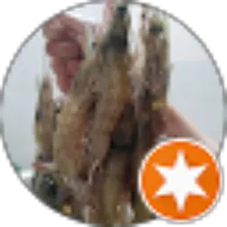 Review From Mochammad Natsir Amin