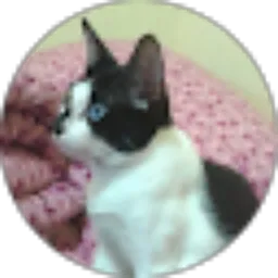 Review From Chandra Miriantina