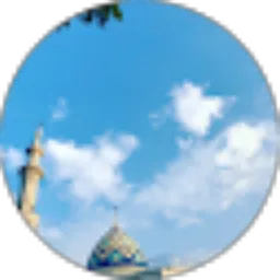 Review From Albert Maulana