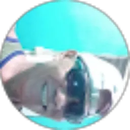 Review From bernard cino