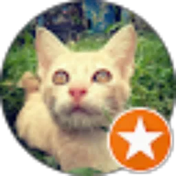 Review From Mama Kucing