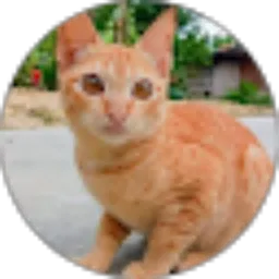 Review From AHMAD RIZQI WAKID