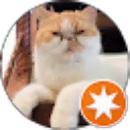 Review From Luthfi Fathan