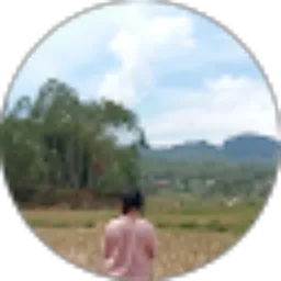 Review From Rosi Ani