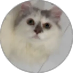 Review From Setya Aji