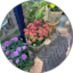 Review From Annisa Suci Fitri