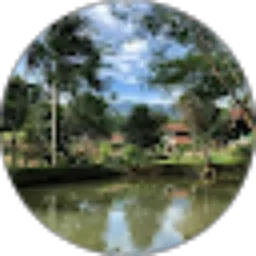 Review From Kun Witarso