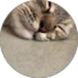 Review From karina annisa