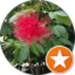 Review From waspinah stamp88