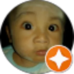 Review From Wisnu official