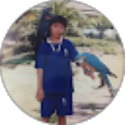 Review From Robin Iswanto