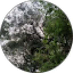 Review From Ayu Lestari