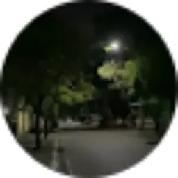 Review From dou taiger