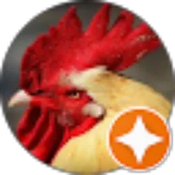 Review From ZidhanZizhan