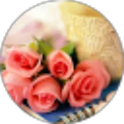 Review From Rofiq Anwar