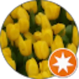 Review From Ingrid IngridSotya