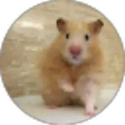 Review From hamsterdam _- b