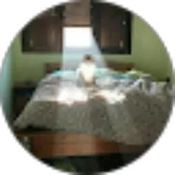 Review From Candra Saputra