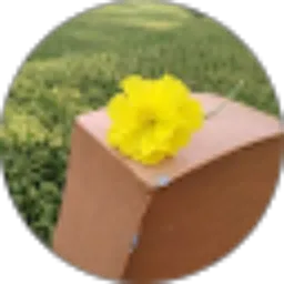 Review From umi husnul hotimah