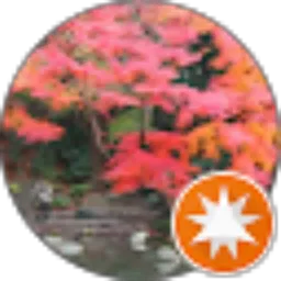 Review From Arni Orno