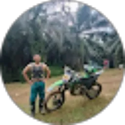 Review From Doni Andris