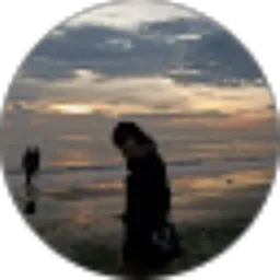 Review From Michelle Calista