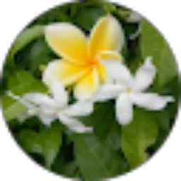 Review From DEMEN MAKAN