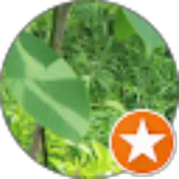 Review From Lena Azmi (Azmi)