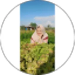 Review From Noor Liyani