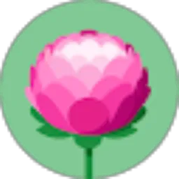 Review From Meri Chuang