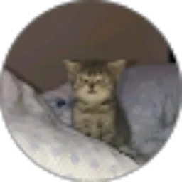 Review From GUMAY Fc