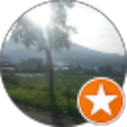 Review From Ayadi Thea