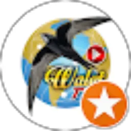 Review From WALET TV