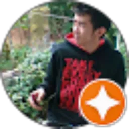 Review From Aris Wan