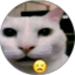 Review From Mozarela Muhammad