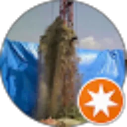 Review From Budi Susetyo (Budi logging)