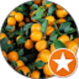 Review From biji jeruk