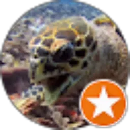 Review From Gilles Goubin