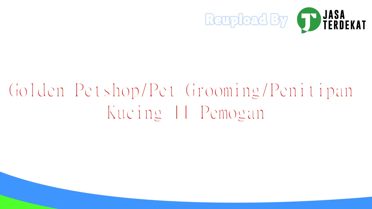 Golden Petshop/Pet Grooming/Penitipan Kucing || Pemogan